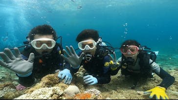 武藤潜水に投稿された画像（2024/8/17）