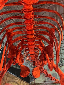 巨大恐竜展2024に投稿された画像（2024/8/17）