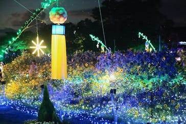 せんだい農業園芸センター　みどりの杜に投稿された画像（2024/8/17）