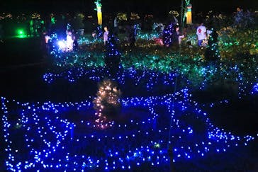 せんだい農業園芸センター　みどりの杜に投稿された画像（2024/8/17）