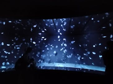 サンシャイン水族館に投稿された画像（2024/8/17）