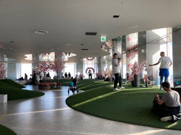 サンシャイン60展望台に投稿された画像（2024/8/17）