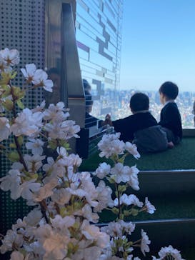 サンシャイン60展望台に投稿された画像（2024/8/17）