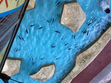 伊豆・三津シーパラダイスに投稿された画像（2024/8/17）