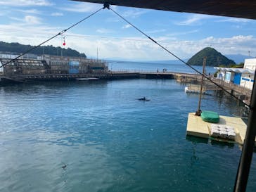 伊豆・三津シーパラダイスに投稿された画像（2024/8/17）