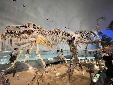 福井県立恐竜博物館に投稿された画像（2024/8/17）