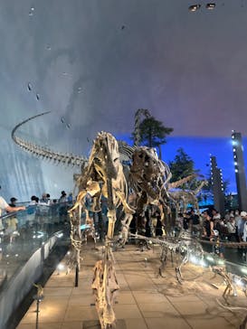 福井県立恐竜博物館に投稿された画像（2024/8/17）