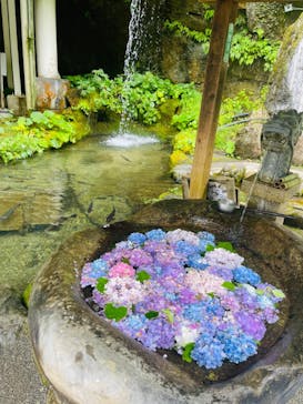 飛騨大鍾乳洞＆大橋コレクション館に投稿された画像（2024/8/17）