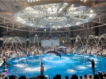 マクセル アクアパーク品川に投稿された画像（2024/8/17）