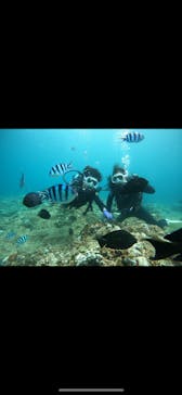 武藤潜水に投稿された画像（2024/8/17）