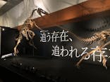 DinoScience 恐竜科学博 ～ララミディア大陸の恐竜物語～ 2024@OSAKAに投稿された画像（2024/8/17）