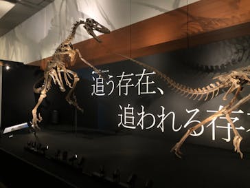 DinoScience 恐竜科学博 ～ララミディア大陸の恐竜物語～ 2024@OSAKAに投稿された画像（2024/8/17）