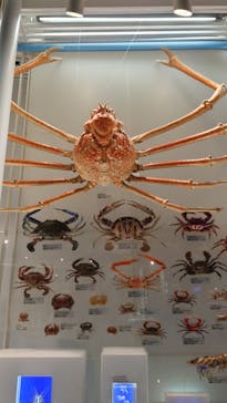 国立科学博物館に投稿された画像（2024/8/17）