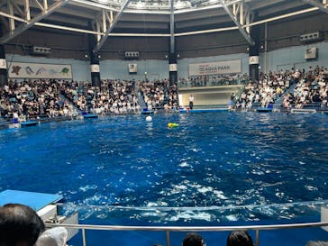 マクセル アクアパーク品川に投稿された画像（2024/8/17）