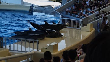 マリンワールド海の中道に投稿された画像（2024/8/17）