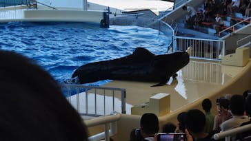 マリンワールド海の中道に投稿された画像（2024/8/17）