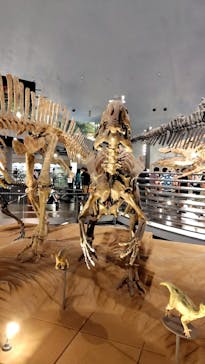 福井県立恐竜博物館に投稿された画像（2024/8/17）