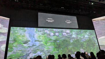 モネ＆フレンズ・アライブに投稿された画像（2024/8/17）