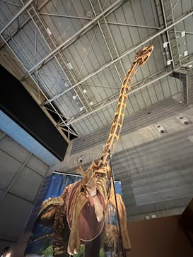 巨大恐竜展2024に投稿された画像（2024/8/17）