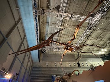 巨大恐竜展2024に投稿された画像（2024/8/17）