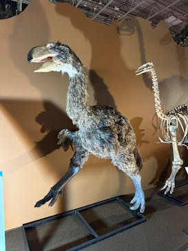 巨大恐竜展2024に投稿された画像（2024/8/17）
