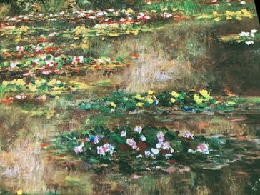 モネ＆フレンズ・アライブに投稿された画像（2024/8/17）