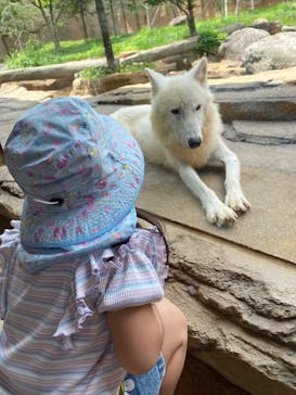 那須どうぶつ王国に投稿された画像（2024/8/17）