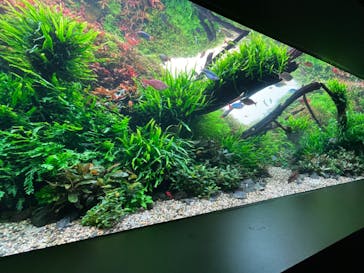 AOAO SAPPOROに投稿された画像（2024/8/17）