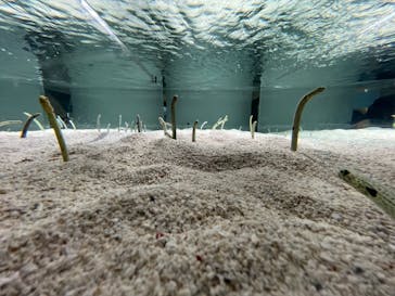 AOAO SAPPOROに投稿された画像（2024/8/17）