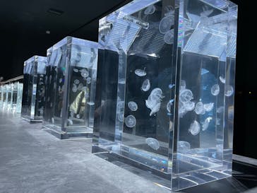 AOAO SAPPOROに投稿された画像（2024/8/17）