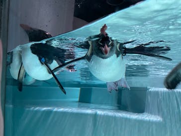 AOAO SAPPOROに投稿された画像（2024/8/17）