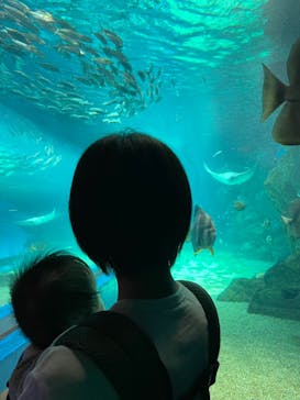 マクセル アクアパーク品川に投稿された画像（2024/8/17）