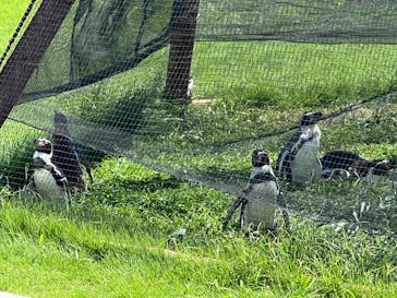 葛西臨海水族園に投稿された画像（2024/8/17）