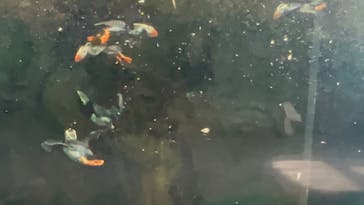 葛西臨海水族園に投稿された画像（2024/8/17）