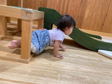 京王れーるランドに投稿された画像（2024/8/17）