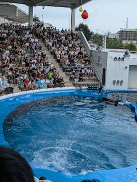 仙台うみの杜水族館に投稿された画像（2024/8/17）