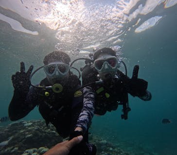 沖縄マリンサービス碧に投稿された画像（2024/8/17）