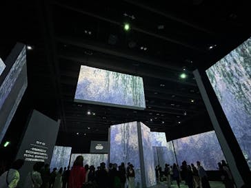 モネ＆フレンズ・アライブに投稿された画像（2024/8/17）