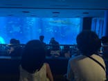沖縄美ら海水族館に投稿された画像（2024/8/17）