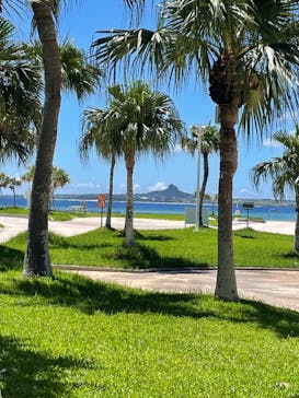 沖縄美ら海水族館に投稿された画像（2024/8/17）