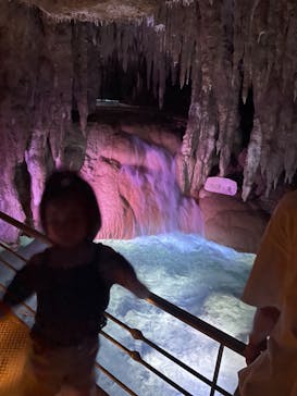 おきなわワールドに投稿された画像（2024/8/17）