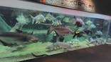 世界淡水魚園水族館　アクア・トトぎふに投稿された画像（2024/8/17）