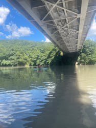 フォレストカレッジに投稿された画像（2024/8/17）