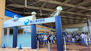 新江ノ島水族館に投稿された画像（2024/8/17）