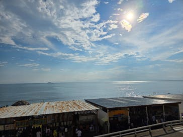 新江ノ島水族館に投稿された画像（2024/8/17）