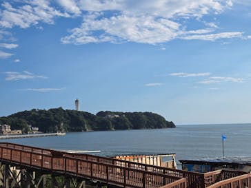 新江ノ島水族館に投稿された画像（2024/8/17）
