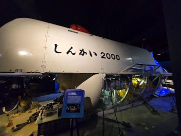 新江ノ島水族館に投稿された画像（2024/8/17）