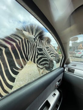 東北サファリパークに投稿された画像（2024/8/17）
