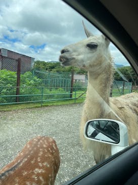 東北サファリパークに投稿された画像（2024/8/17）