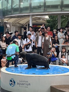 サンシャイン水族館に投稿された画像（2024/8/17）